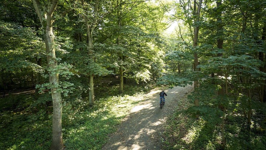 Fietsen door de Nieuwe Scheveningse Bosjes