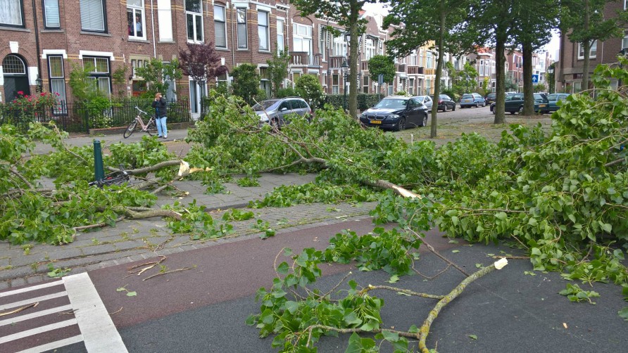 Takbreuk aan de Van Boetzelaerlaan