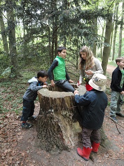 Kinderen staan bij en zitten op een afgezaagde boomstam.