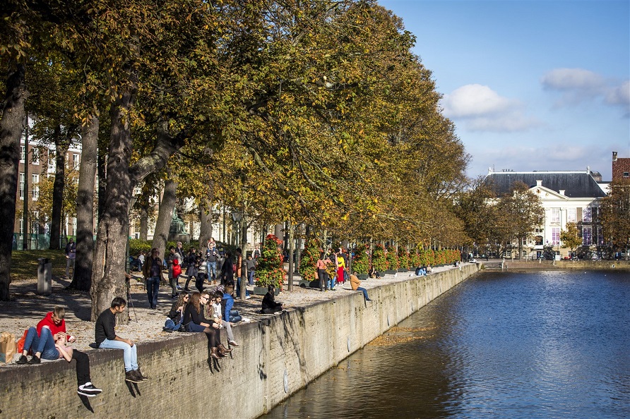 Bomen langs de Hofvijver