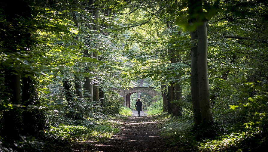 Wandelen in Park Sorghvliet