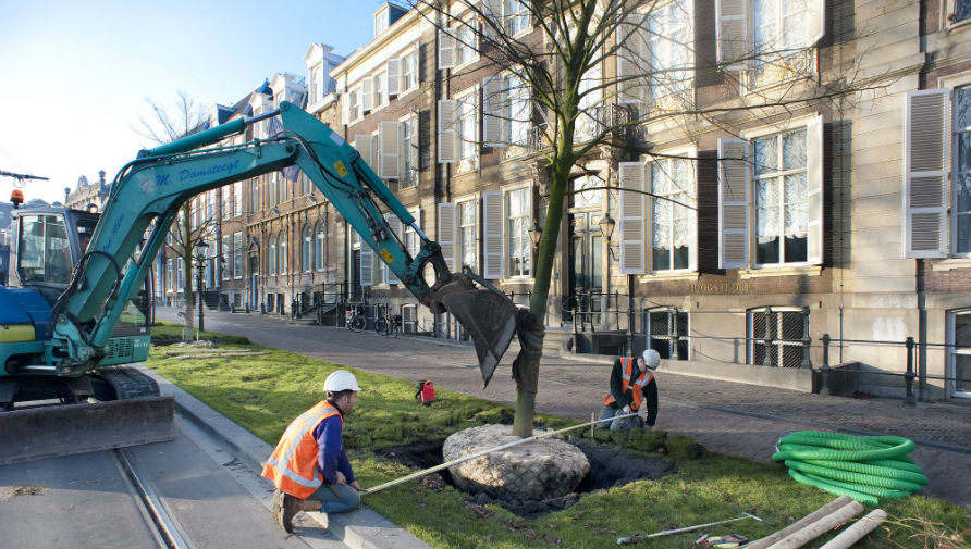 Medewerkers van de gemeente planten een nieuwe boom.