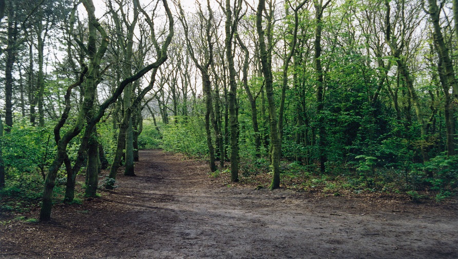 Landgoed Meer en Bos