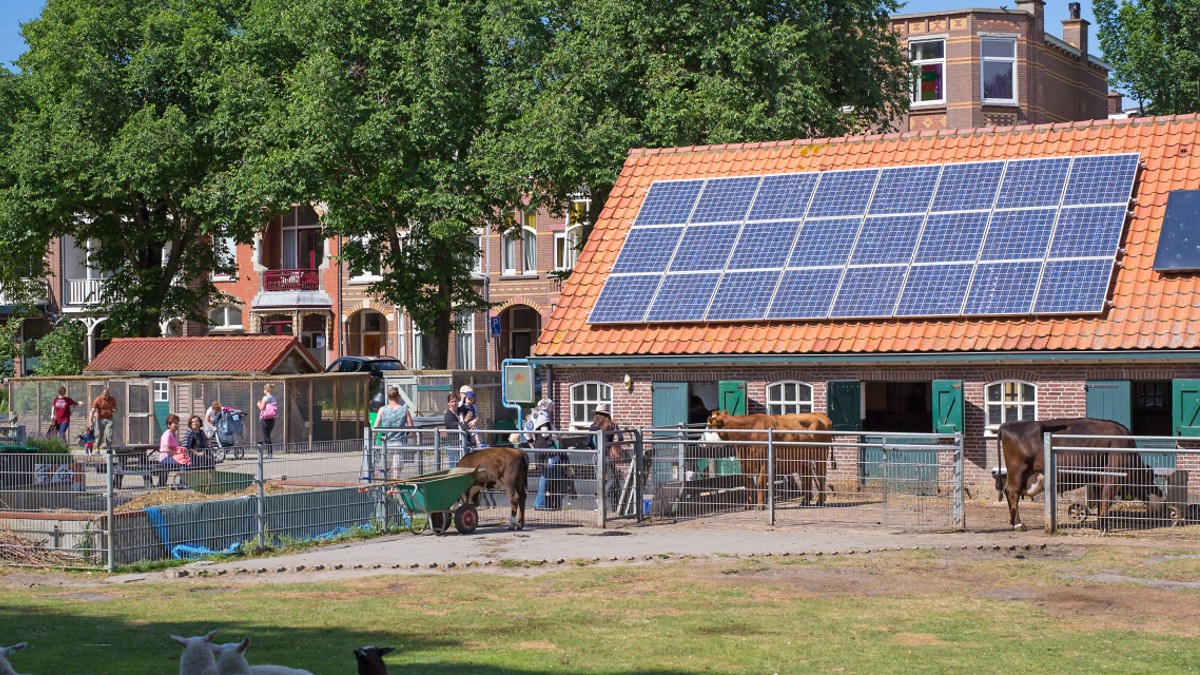 Foto stadsboerderij 't Waaygat