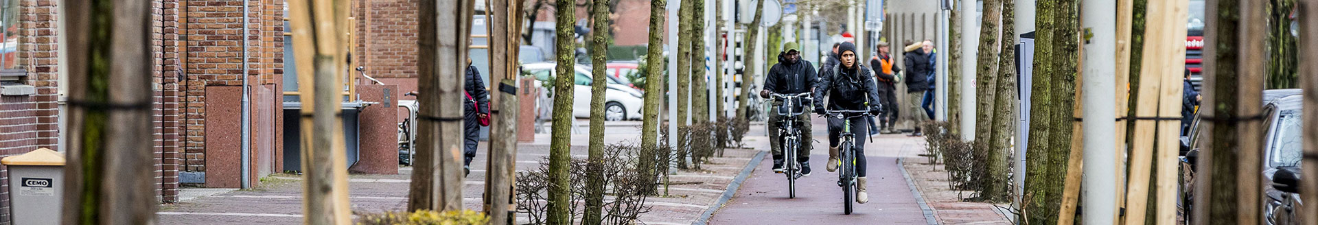 trek fietsen elandstraat den haag