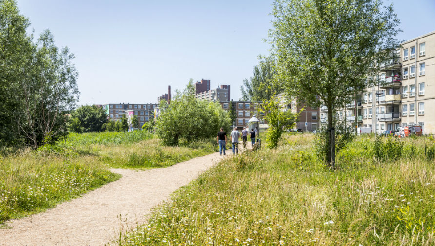 Stadsnatuur in de Laakzone