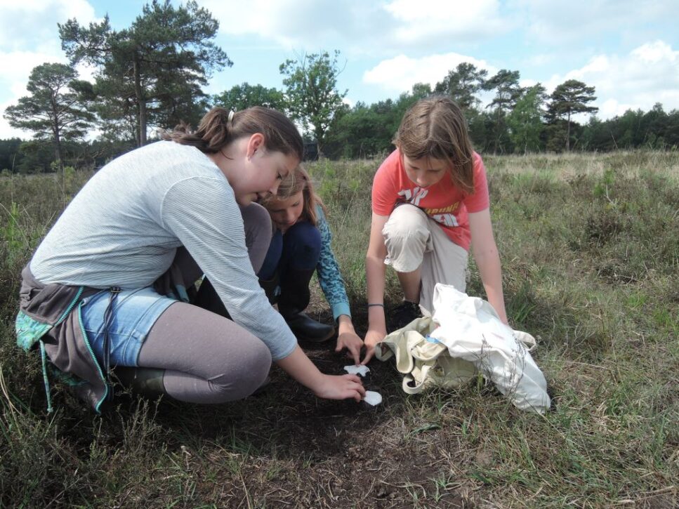 Veldbiologie