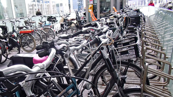 trek fietsen elandstraat den haag