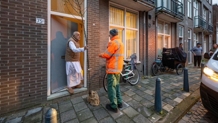 De gemeente bezorgt de bomen in november en december van dit jaar. Daarna kunt u uw boom zelf planten.