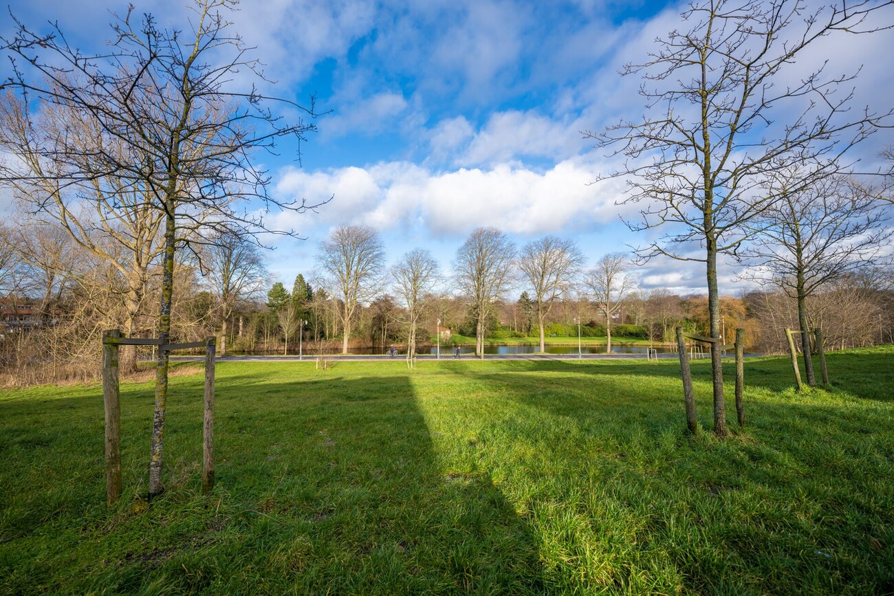 Jong aangeplante bomen op een grasveld. Een fietspad en waterpartij liggen op de achtergrond.