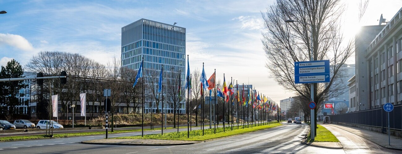Uitsnede van de Johan de WIttlaan met de vlaggen van Verenigde Naties-landen in de middenberm.