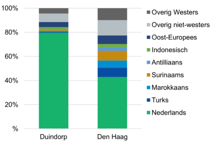 Staafdiagram migratieachtergrond Duindorp vs Den Haag