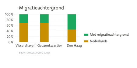 Wijkprofiel Havenkwartier migratie