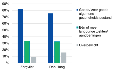 Wijkprofiel Zorgvliet: gezondheid
