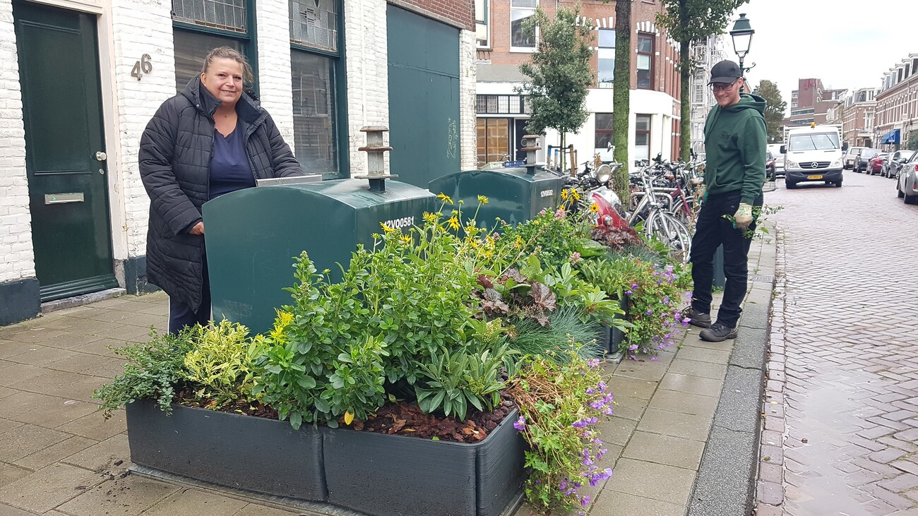 Containertuin in de Renbaanstraat