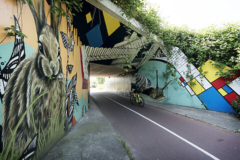 Tunnel met graffiti in Leidschenveen