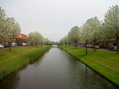 Bloesemsingel in Ypenburg