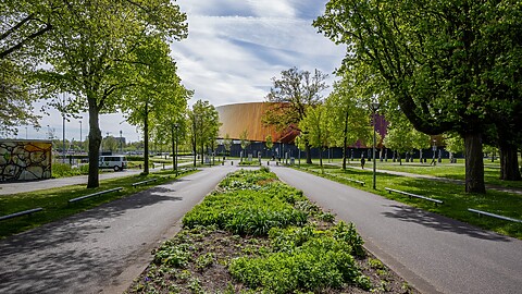 Sportcampus en deel park