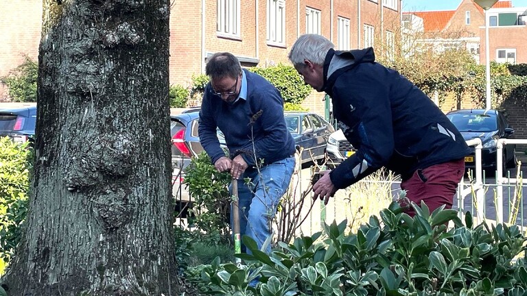 Gemeente en bewoners vergroenen samen de Werfstraat in Scheveningen-Dorp.