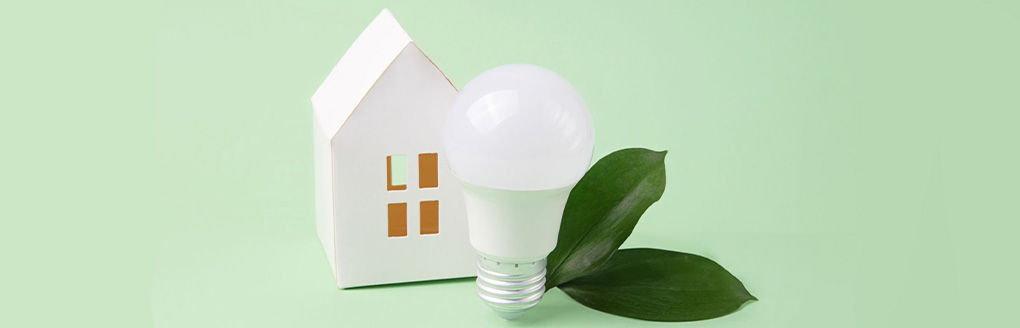 Icoon met een huis, lamp, bladeren en een lichtgroene achtergrond.