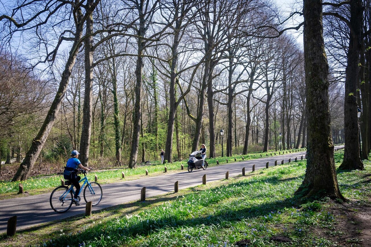 Mensen fietsen en lopen door het bos. Er staan hoge bomen zonder bladeren. Langs het pad groeien bloemen.