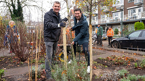Twee mensen planten een boom in Segbroek.