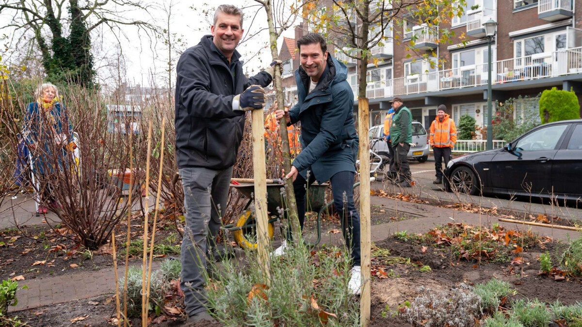 Twee mensen planten een boom in Segbroek.