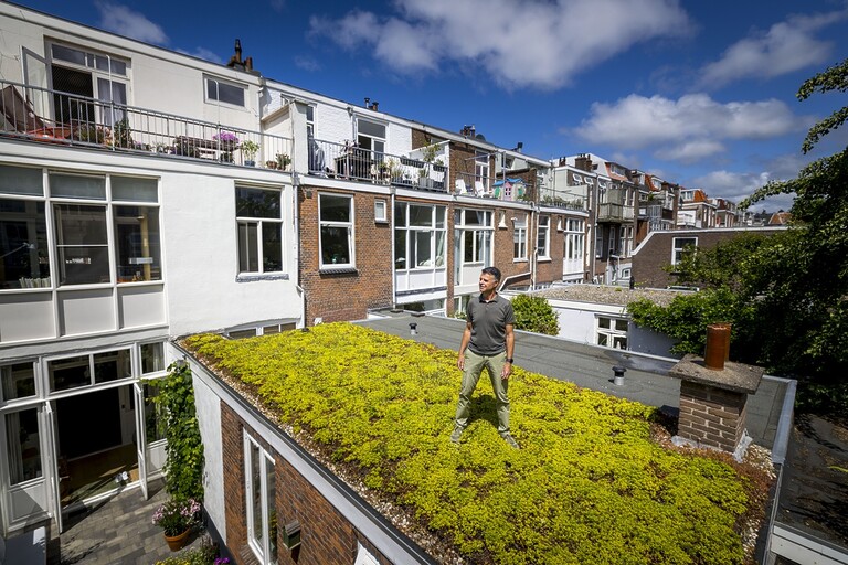 Inwoner Regentessekwartier staat op zijn groene dak.