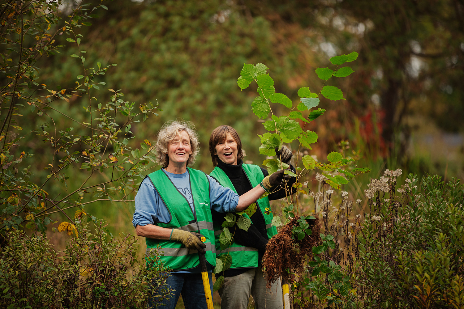 Haagse Bos 450 jaar: haal gratis groen
