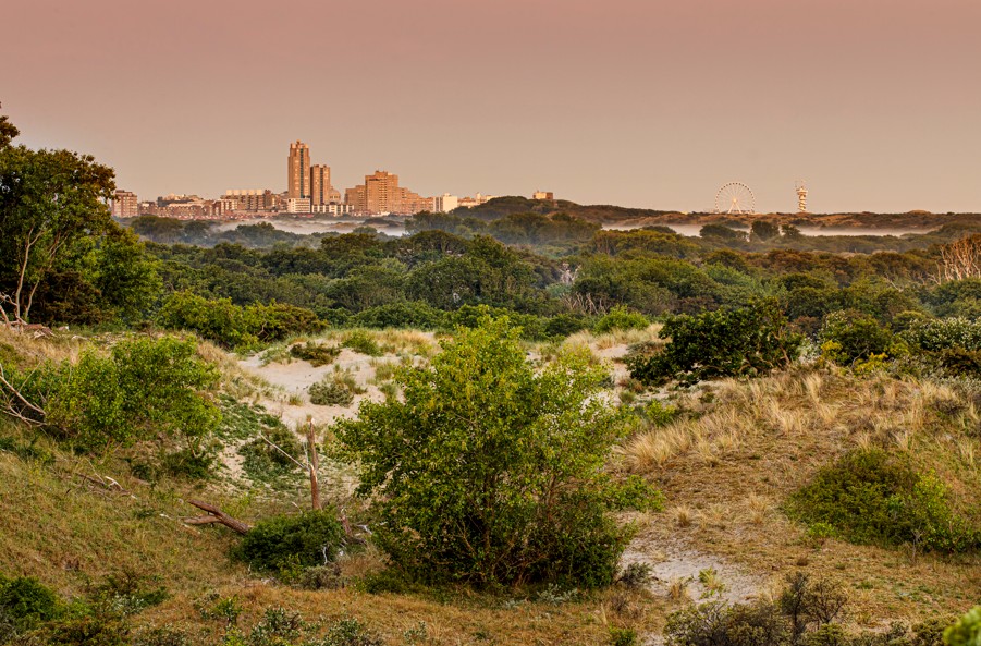 Haagse natuur is nu onderdeel van Nationaal Park Hollandse Duinen