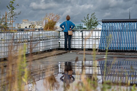 Vrouw kijkt vanaf het dak van de Energiekas Helena uit op de stad.