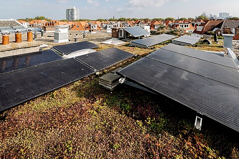 Een groendak met zonnepanelen