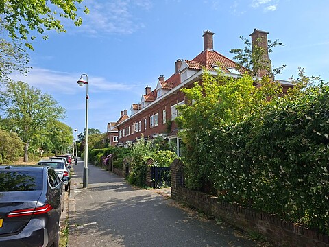 Straat in de Vogelwijk