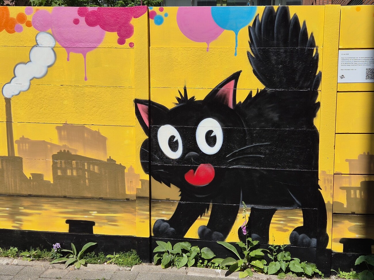 Kat op een muur aan de Stamkartstraat