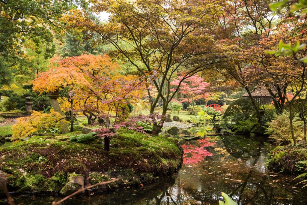 The Japanese Garden in the autumn