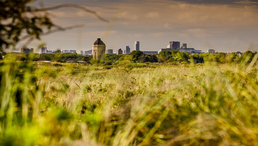 Skyline of The Hague as seen from Meijendel, including the water tower