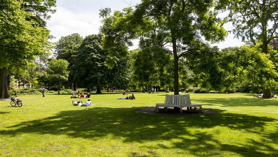 People sitting and lying on the grass in the Paleistuin