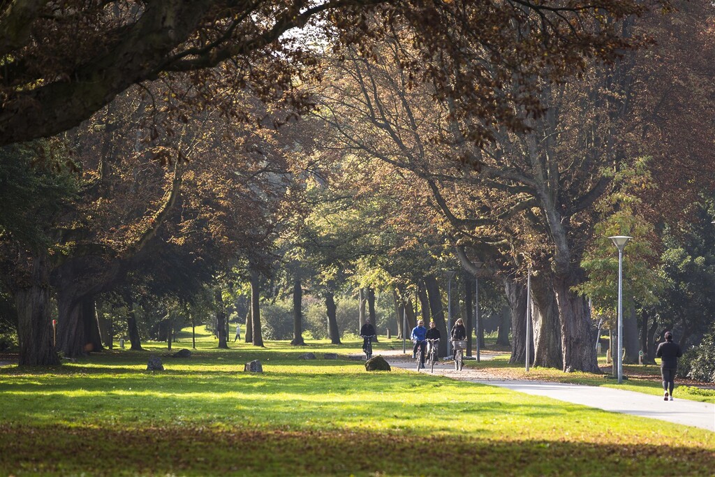 Cyclists in Zuiderpark