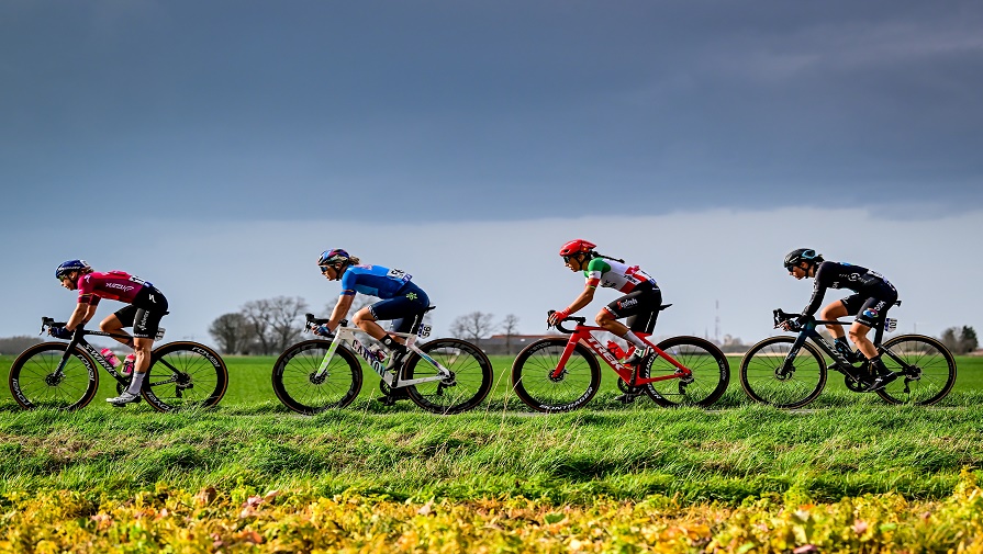 Cyclists riding through nature